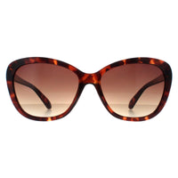 Smarty Sunglasses SB220 0B Demi Brown Tortoise Brown