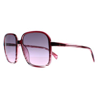 Guess Sunglasses GF6146 72T Purple Purple Gradient