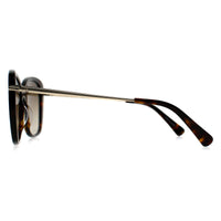 Longchamp Sunglasses LO616S 213 Havana Brown Gradient