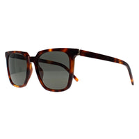 Saint Laurent Sunglasses SL M146 003 Havana Grey