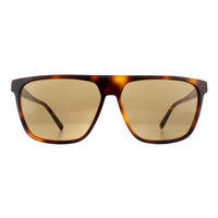 DKNY Sunglasses DK503S 240 Soft Tortoise Brown