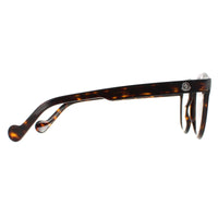 Moncler Glasses Frames ML5037 056 Havana Men