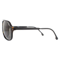 Carrera Sunglasses Safari 65 WR9 M9 Havana Grey Polarised