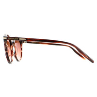Serengeti Sunglasses Leonora 8841 Shiny Striped Brown Mineral Polarized Drivers Gradient