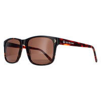 Duck and Cover Sunglasses DCS025 C2 Havana Brown