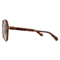 Polaroid Sunglasses PLD 6095/S 086 LA Havana Brown Gradient Polarized