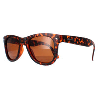 Montana Sunglasses FS40 A Turtle Brown Polarized