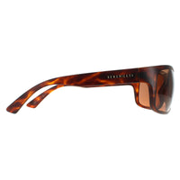 Serengeti Sunglasses Pistoia 8300 Matte Dark Tortoise Mineral Polarized Drivers