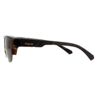 Polaroid Suncovers Sunglasses PLD 9015/S 086 HE Havana Brown Copper Polarized