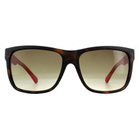 Guess Sunglasses GU6838 56F Havana Brown Gradient
