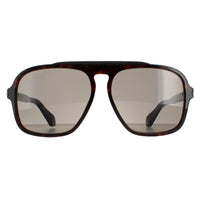 Police Sunglasses SPLE20 Lewis 38 0722 Shiny Dark Havana Brown Grey