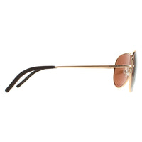 Serengeti Sunglasses Carrara Small 8551 Shiny Bold Gold Polarized Drivers Gold