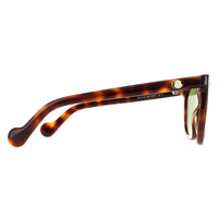 Moncler Sunglasses ML0119 52N Dark Havana Green