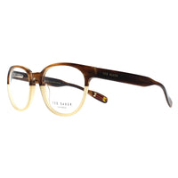 Ted Baker Glasses Frames TB8197 Cade 162 Brown Horn and Honey Men Women
