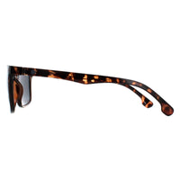 Smarty Sunglasses SB2308 B Demi Black Tortoise Brown Grey