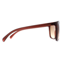Calvin Klein Sunglasses CK19565S 210 Milky Brown Brown Gradient