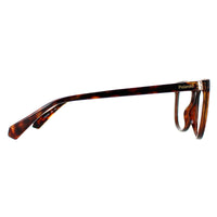 Polaroid Glasses Frames PLD D504 086 Havana Women