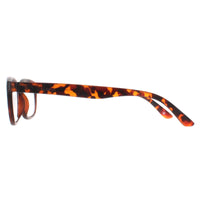 Montana Reading Glasses MP70A Turtle Men Women +2.00
