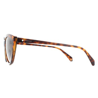 Polaroid Sunglasses PLD 4080/S 086 LA Havana Brown Gradient Polarized