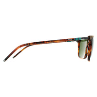 Polo Ralph Lauren Sunglasses PH4168 501771 Shiny Jerry Havana Bottle Green