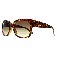 Calvin Klein Sunglasses CK22549S 240 Shiny Havana Brown Gradient