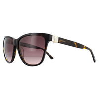 Swarovski Sunglasses SK0121 52F Dark Havana Brown Gradient