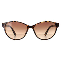Calvin Klein Sunglasses CK20517S 235 Tortoise Brown Gradient