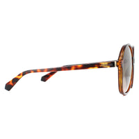 Polaroid Sunglasses PLD 6095/S 086 LA Havana Brown Gradient Polarized