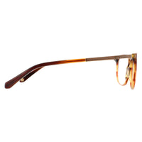 Ted Baker Glasses Frames TB8219 Archer 351 Cognac Horn Men