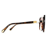 Bvlgari Sunglasses BV8228B 504/13 Havana Dark Brown Gradient