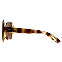 Montana Sunglasses MP63 A Shiny Soft Demi Brown Polarized