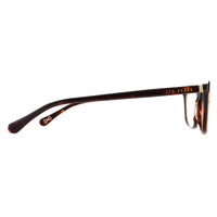 Ted Baker Glasses Frames TB9176 Corliss 179 Brown Women