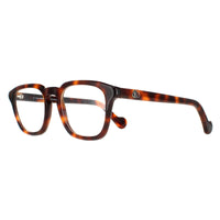 Moncler Glasses Frames ML5042 052 Havana Men