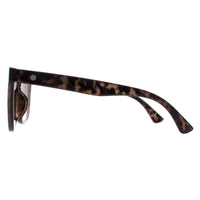 Smarty Sunglasses X2121 B Grey Demi Tortoise Grey