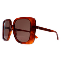 Gucci Sunglasses GG1314S 002 Havana Brown