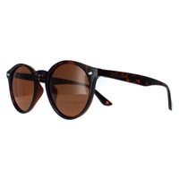 Montana Sunglasses MP20B Tortoise Brown Polarized