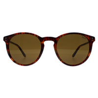 Polo Ralph Lauren Sunglasses 4110 501773 Havana Brown