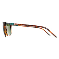 Polo Ralph Lauren Sunglasses PH4168 501771 Shiny Jerry Havana Bottle Green