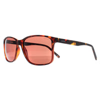 Barbour Sunglasses 3014 102 Havana Brown