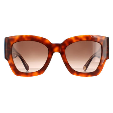 Tommy Hilfiger Sunglasses TH 1862/S C9B HA Havana Honey Brown Gradient