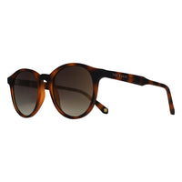 Ted Baker Sunglasses TB1503 Odell 173 Tortoiseshell Brown Gradient