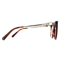 Swarovski Sunglasses SK0217 52F Dark Havana Brown Gradient