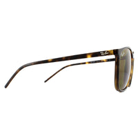 Ray-Ban Sunglasses RB4387 710/73 Tortoiseshell Brown