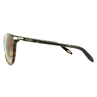 Ralph by Ralph Lauren Sunglasses 5160 510/13 Dark Tortoise Brown Gradient
