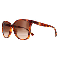 Ralph by Ralph Lauren Sunglasses RA5281U 588513 Shiny Havana Brown Gradient