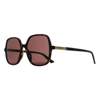 Chloe Sunglasses CH0362S 002 Dark Havana Brown