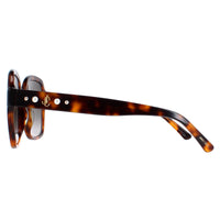 Jimmy Choo Sunglasses Rella/G/S 086/HA Dark Havana Brown Gradient