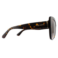 Dolce & Gabbana Sunglasses DG4348 502/13 Havana Brown Gradient