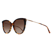 Max Mara Sunglasses Classy WR9 HA Havana Brown Gradient