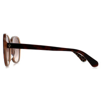 Kate Spade Sunglasses Tamera/F/S 086 HA Havana Brown Gradient